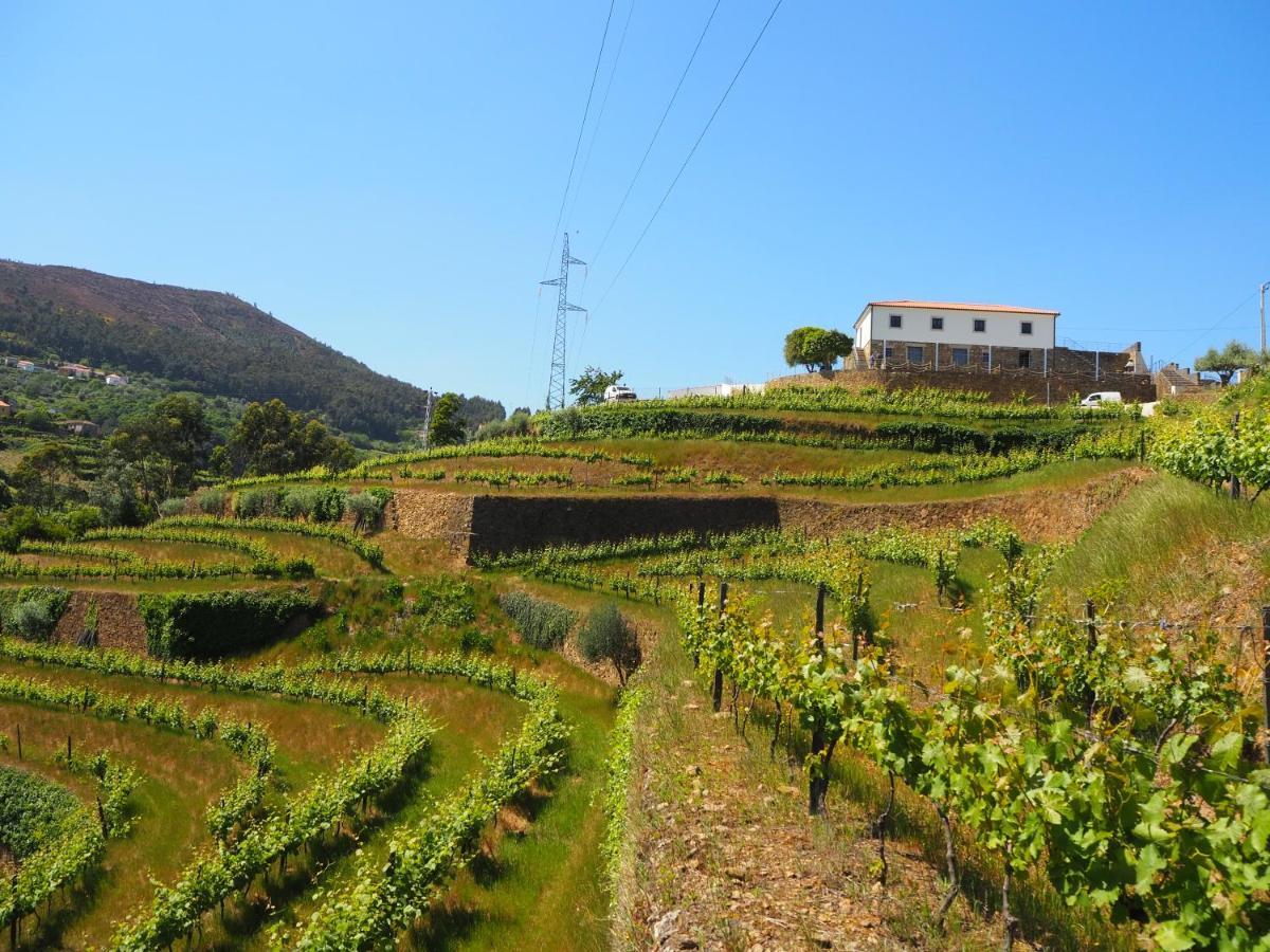 Quinta Das Fontainhas Mesao Frio Ngoại thất bức ảnh