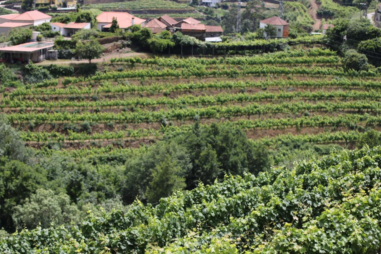 Quinta Das Fontainhas Mesao Frio Ngoại thất bức ảnh